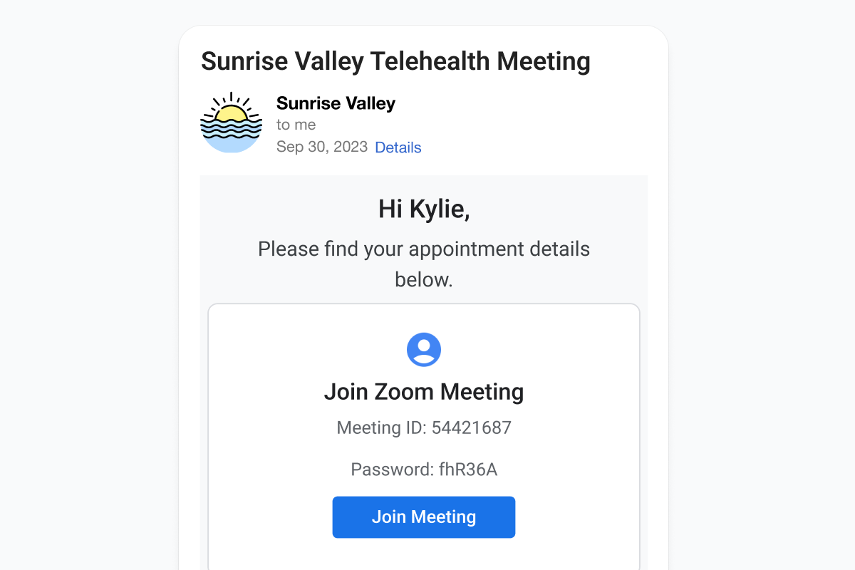 telehealth appointment meeting